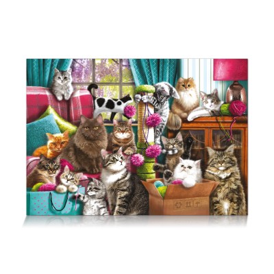 Puzzle Star-Puzzle-0356 Cats' House