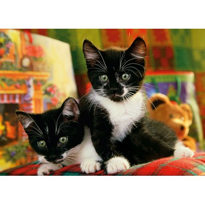 Puzzle Step-Puzzle-77010-07 Kittens