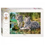 How many Tigers? 2000 piece jigsaw puzzle