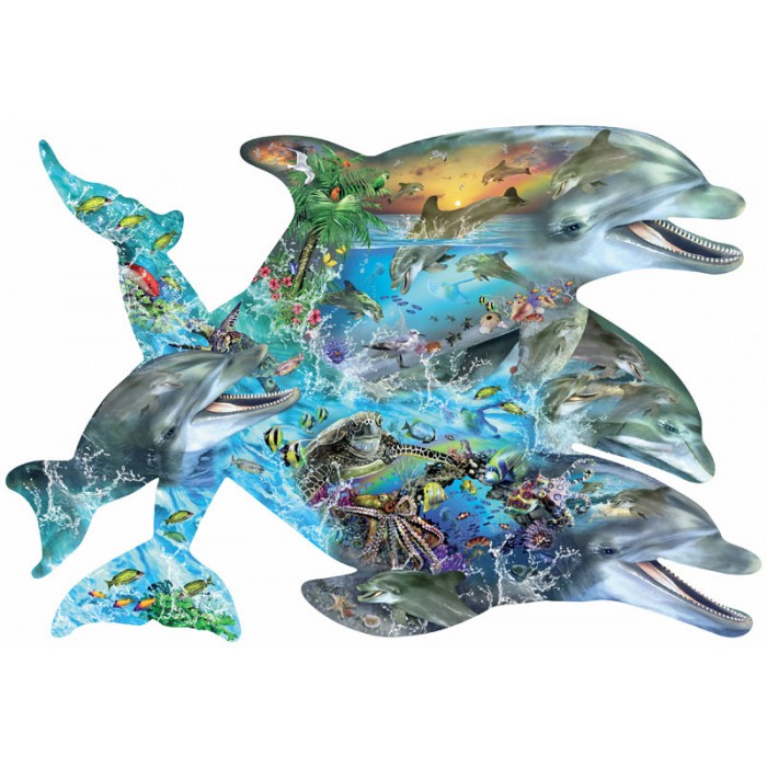 Lori Schory - Song of the Dolphins