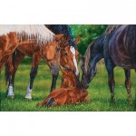 Puzzle   Kim Penner - A Welcome New Arrival
