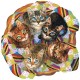 Linda Elliot - Kitten Basket