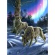 Wolves and Lights