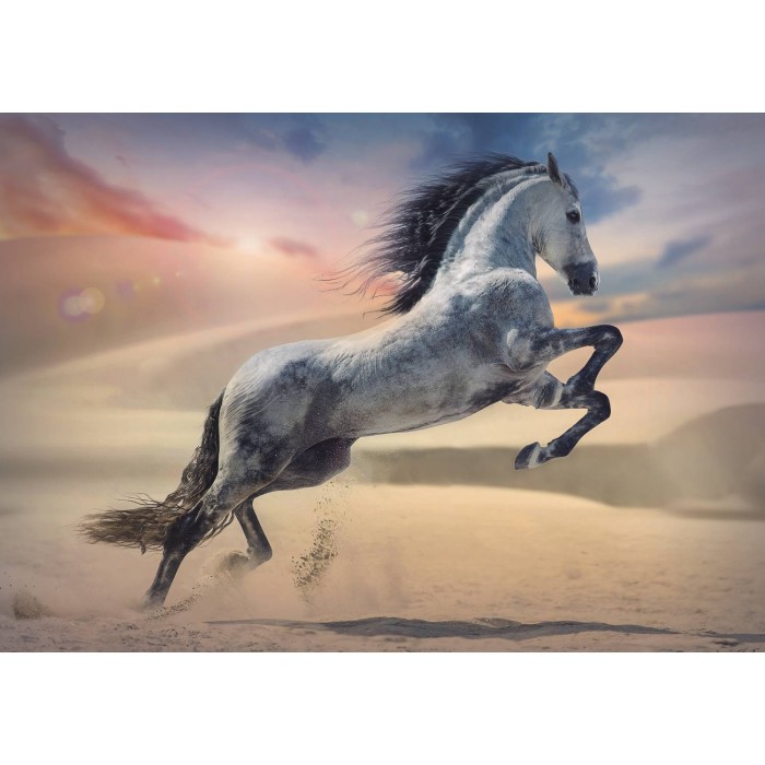 Puzzle  Trefl-10790 Majestic Horse