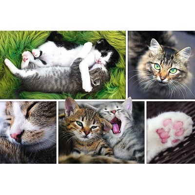 Puzzle Trefl-26145 Collage - Cats