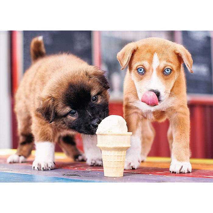 Puzzle  Trefl-37272 Ice cream time!