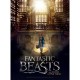 Poster Jigsaw Puzzle - Fantastic Beasts - Macusa